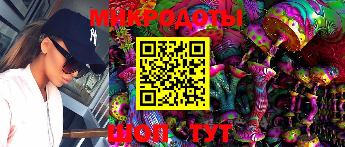 Псилоцибиновые грибы Cubensis Миллерово