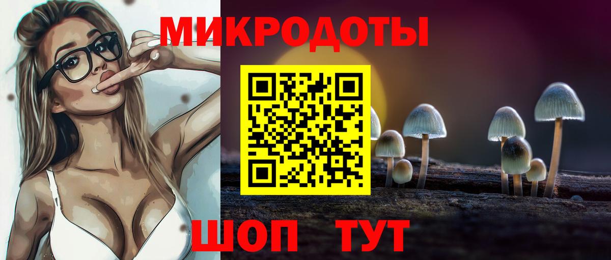 Псилоцибиновые грибы GOLDEN TEACHER  Галлюциногенные грибы GOLDEN TEACHER  Миллерово  Вход с VPN 